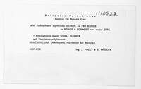 Image Associated With the Occurence